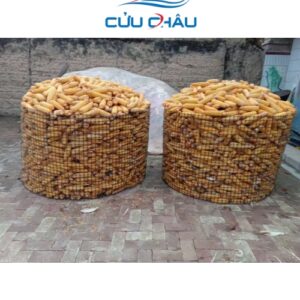 Lưới nhựa PP đen